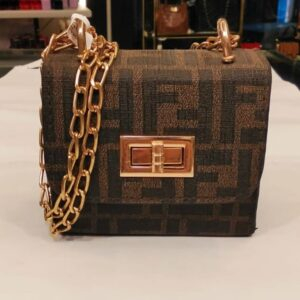 شنطة تريند ٢٠٢٥ ميني