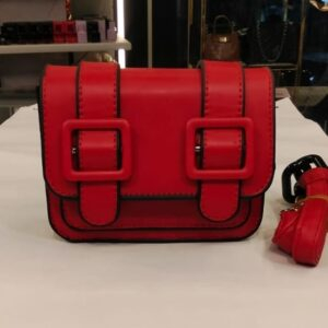 شنطة تريند ٢٠٢٥ ميني