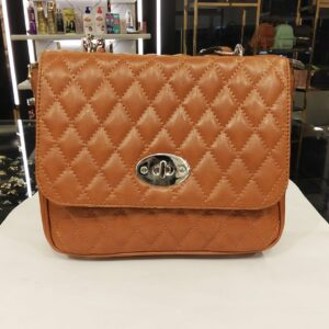 شنطة تريند ٢٠٢٥